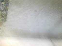 ballynonty 5170.jpg